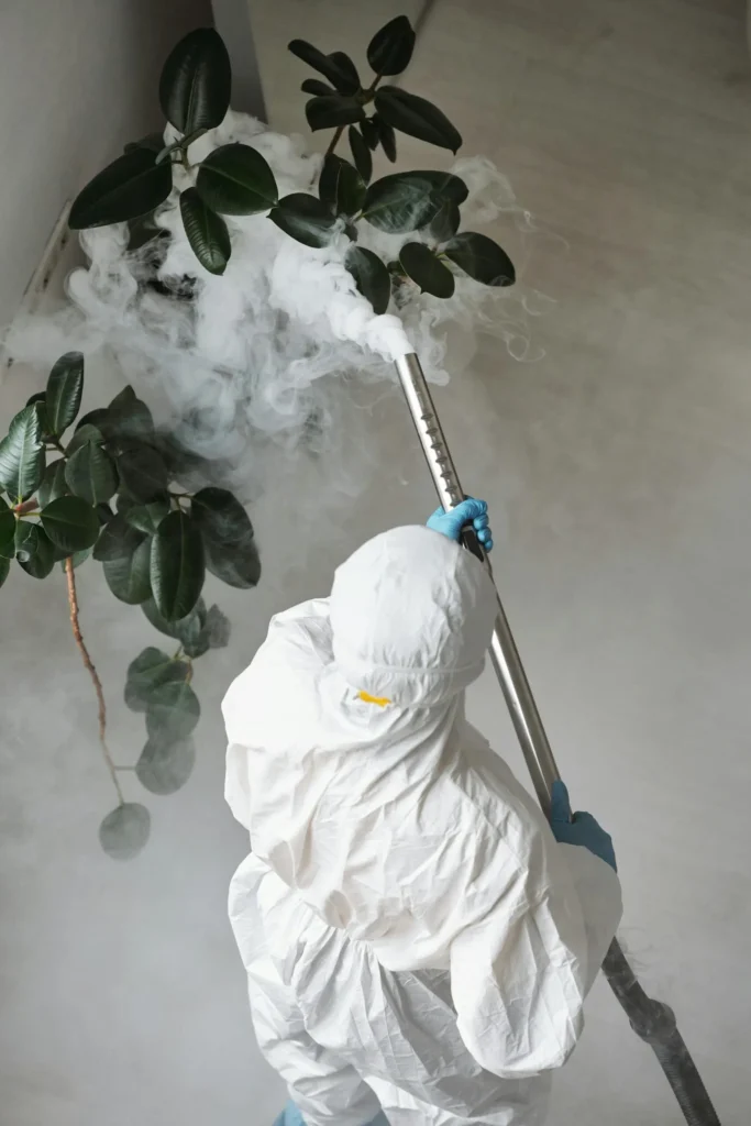 Trusted Pest Control - Pest Control Pros | Englewood, NJ | 551-302-3773
